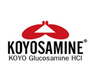 日本專利Koyosamine®